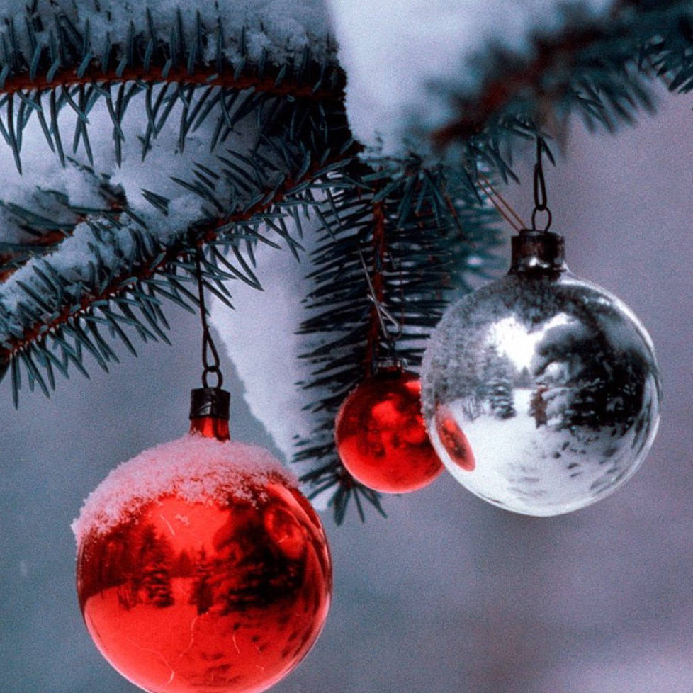 xmas xmas